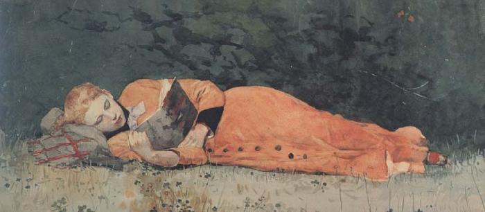 Winslow Homer The New Novel (mk44)